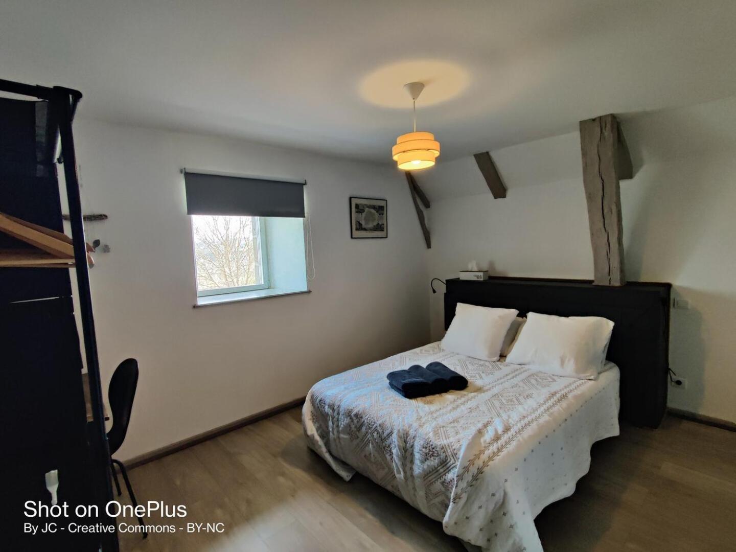 Maison D'Hotes La Grange Salers Zewnętrze zdjęcie